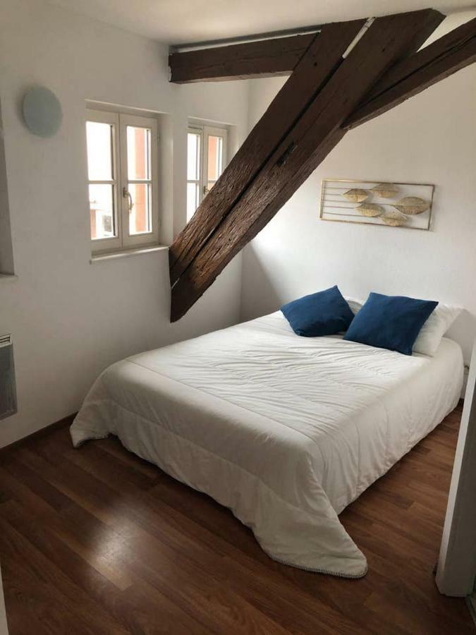 Appartement Avec Balcon Centre Ville Страсбург Экстерьер фото